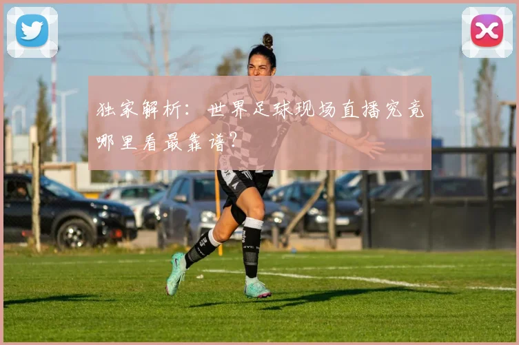 独家解析：世界足球现场直播究竟哪里看最靠谱？